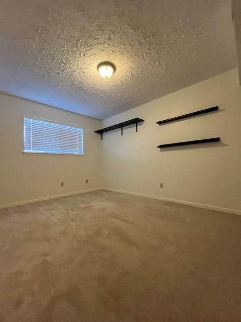 2010 Windy Meadow Drive - Photo 13