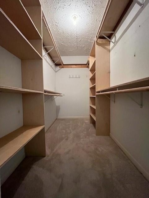 2010 Windy Meadow Drive - Photo 11