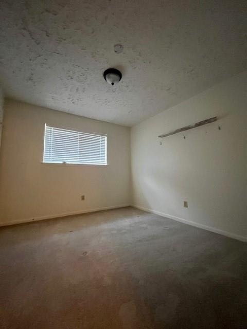 2010 Windy Meadow Drive - Photo 14