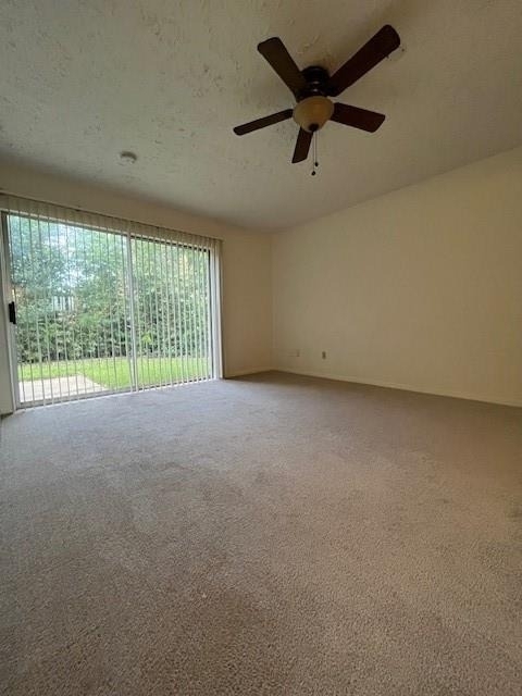 2010 Windy Meadow Drive - Photo 8