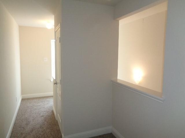 11310 Seven Sisters Drive - Photo 12