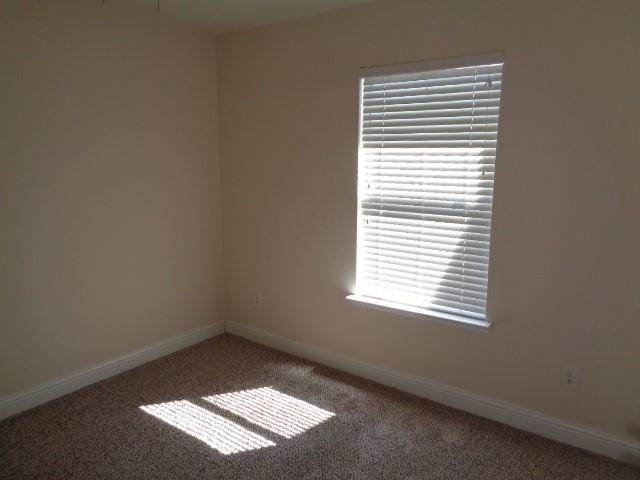 11310 Seven Sisters Drive - Photo 10