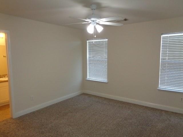 11310 Seven Sisters Drive - Photo 16