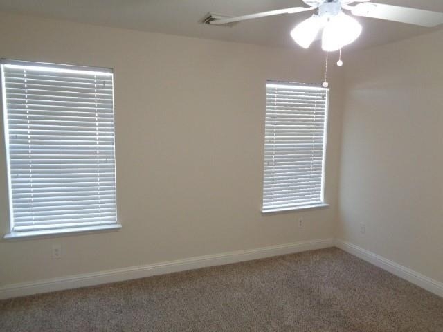 11310 Seven Sisters Drive - Photo 17
