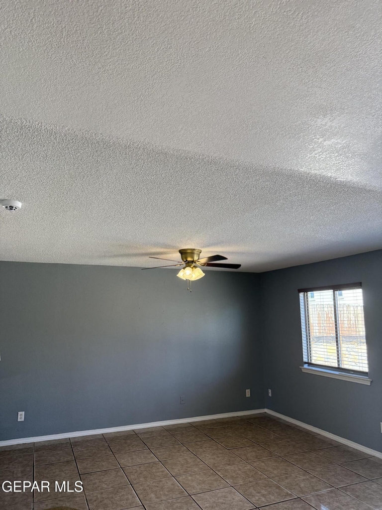 14157 Tierra Delfin Drive - Photo 13