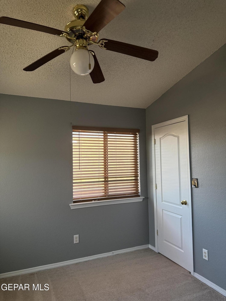 14157 Tierra Delfin Drive - Photo 19