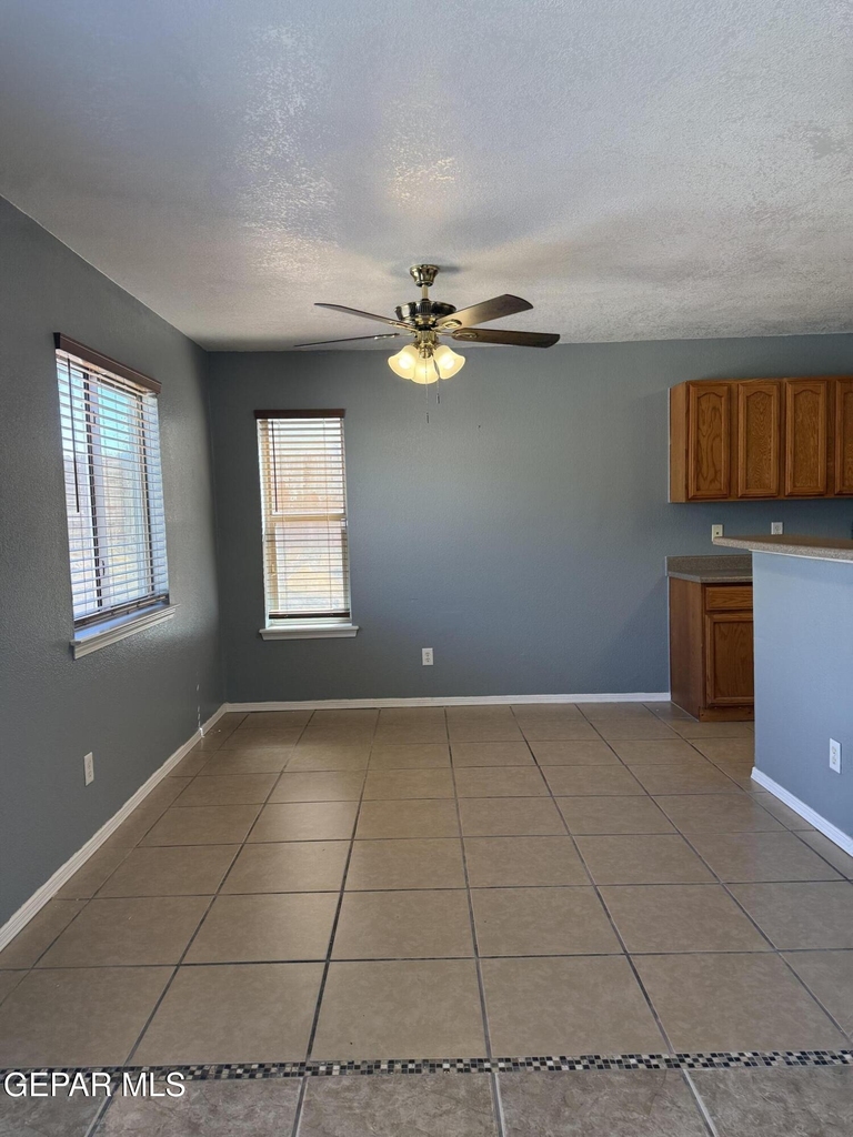 14157 Tierra Delfin Drive - Photo 14