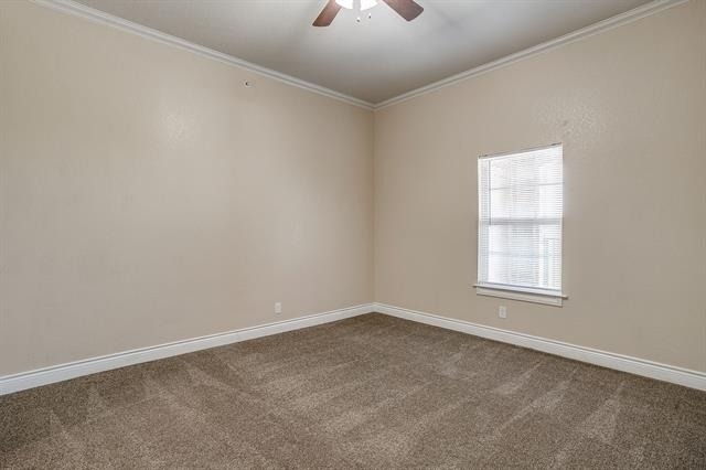 301 County Road 207 - Photo 12