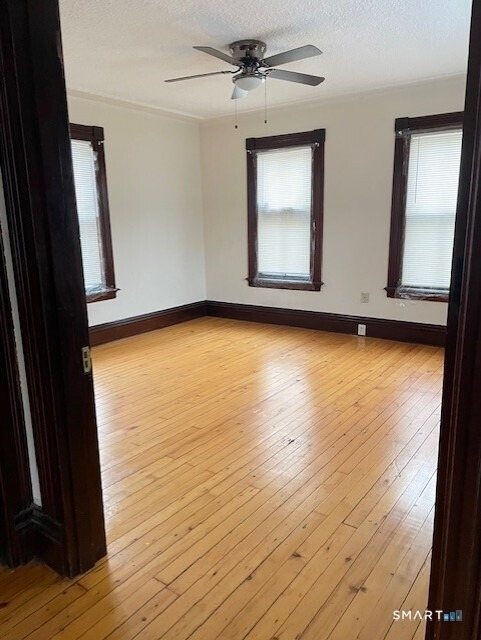 281 Chestnut Street - Photo 15