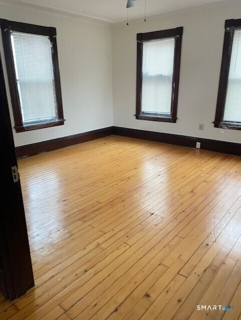 281 Chestnut Street - Photo 12