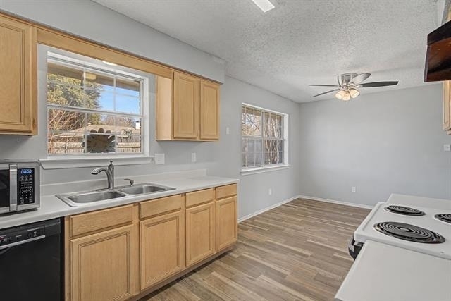 114 Prairie Creek Circle - Photo 13