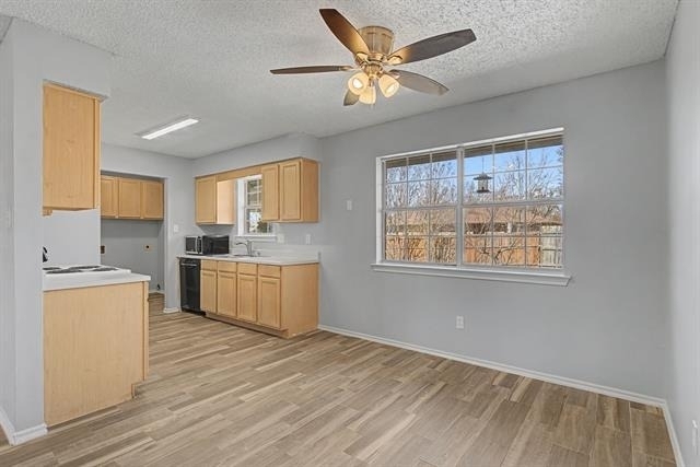 114 Prairie Creek Circle - Photo 9