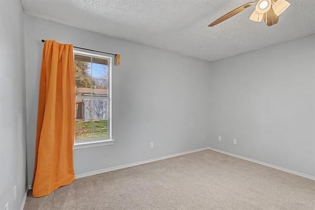 114 Prairie Creek Circle - Photo 23