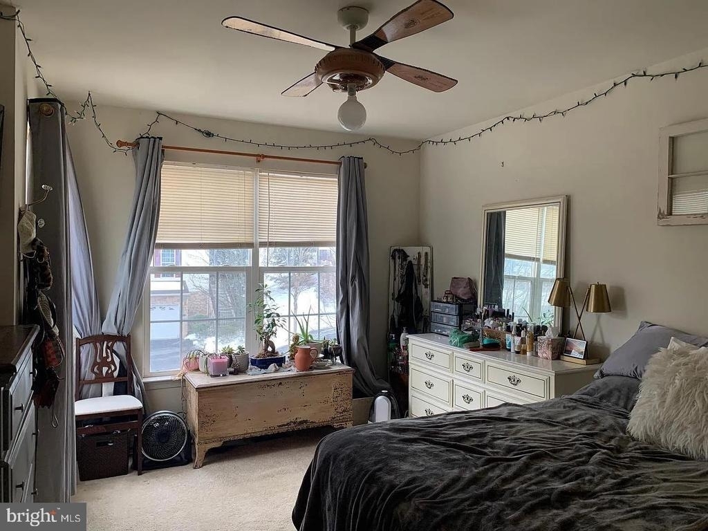 175 Fringetree Drive - Photo 4