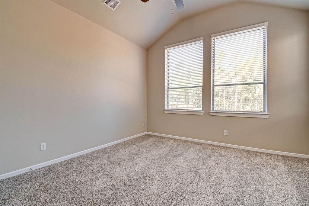 315 N Spotted Fern Drive - Photo 23