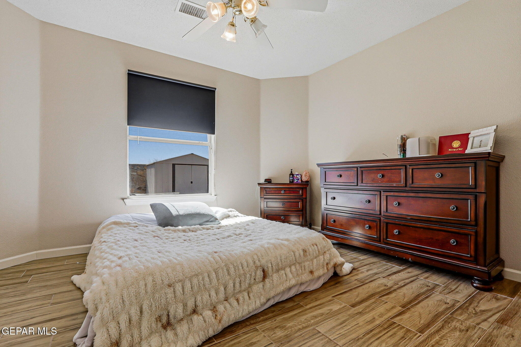12928 Alfredo Apodaca Drive - Photo 29