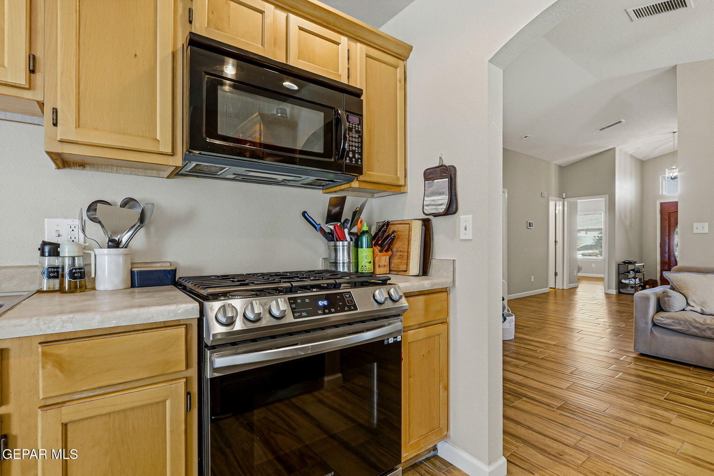 12928 Alfredo Apodaca Drive - Photo 12