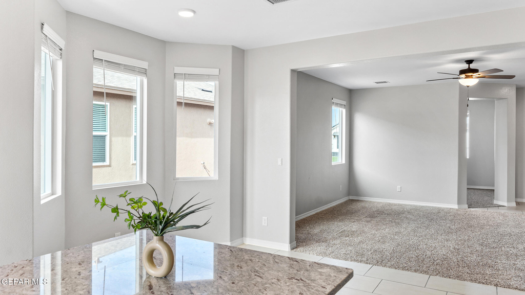 14904 Concept Court - Photo 13