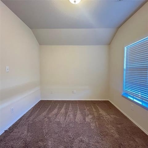 2049 Helmoken Falls Drive - Photo 3