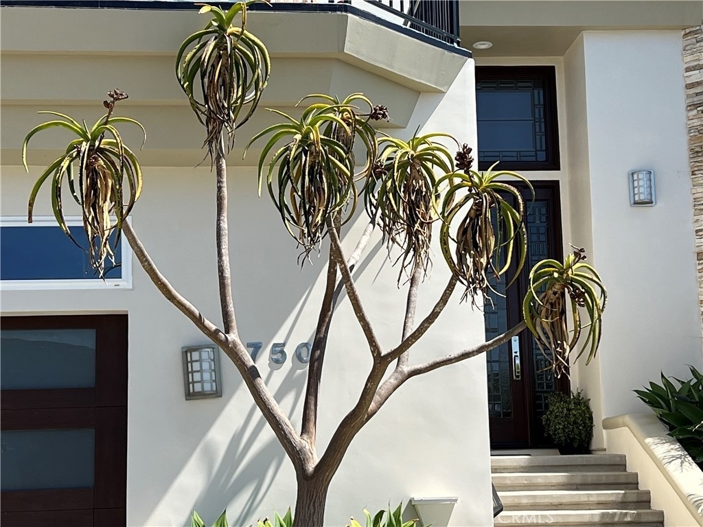 750 Bolsana Drive - Photo 17