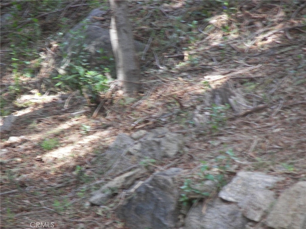 21636 Sawpit Canyon - Photo 71