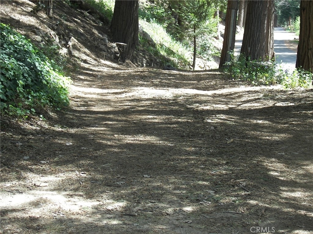 21636 Sawpit Canyon - Photo 50