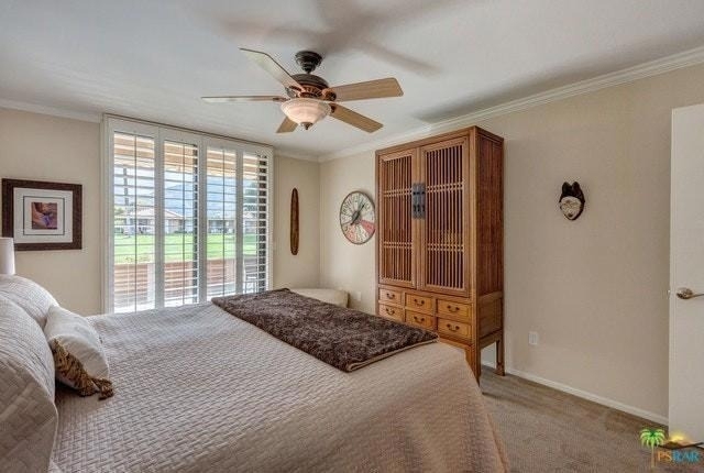 11 Palma Drive - Photo 11