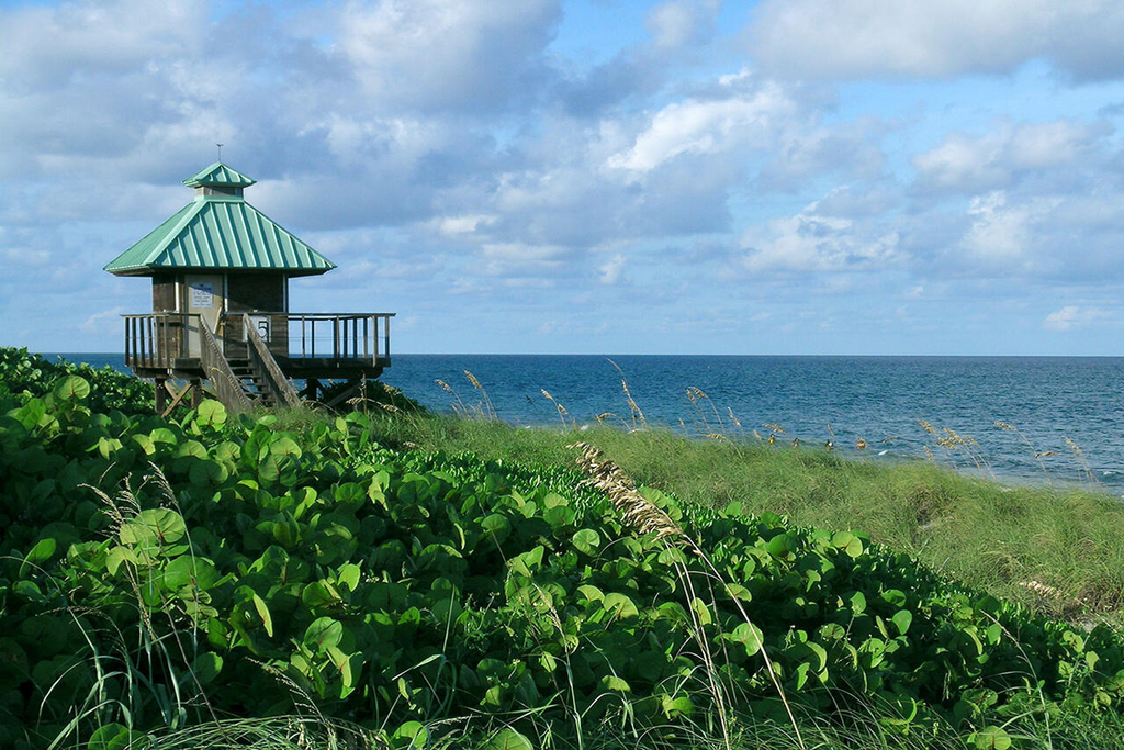 500 Se Mizner Boulevard - Photo 72