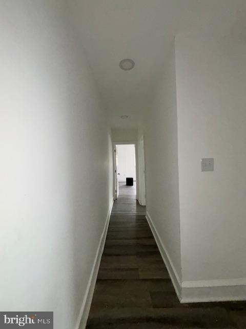 2029 E Tioga Street - Photo 9