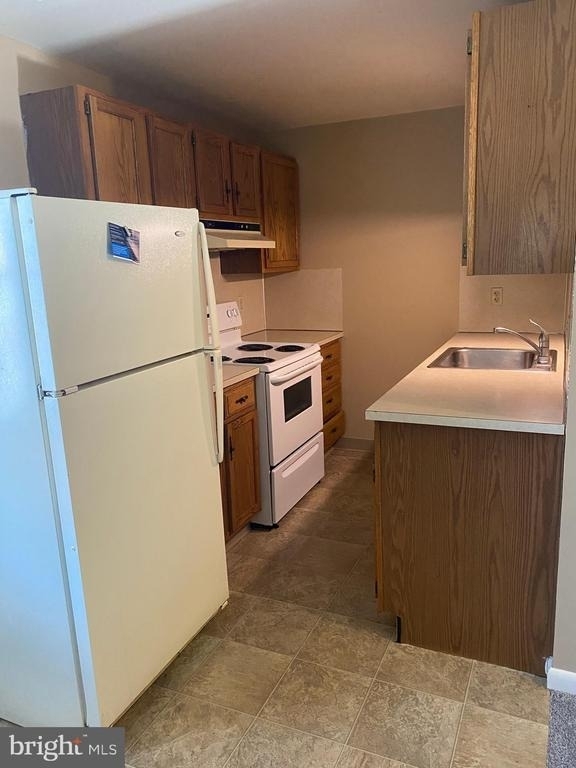 16 W Lemon Street - Photo 4