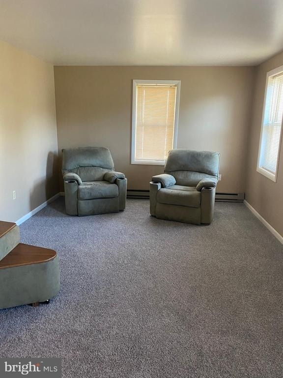16 W Lemon Street - Photo 6