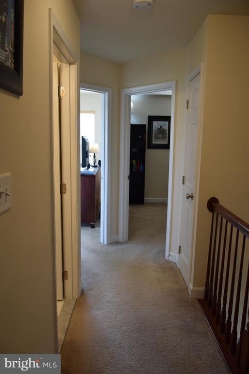 390 English Oak Lane - Photo 35