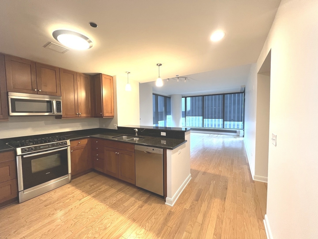 60 E Monroe Street - Photo 1
