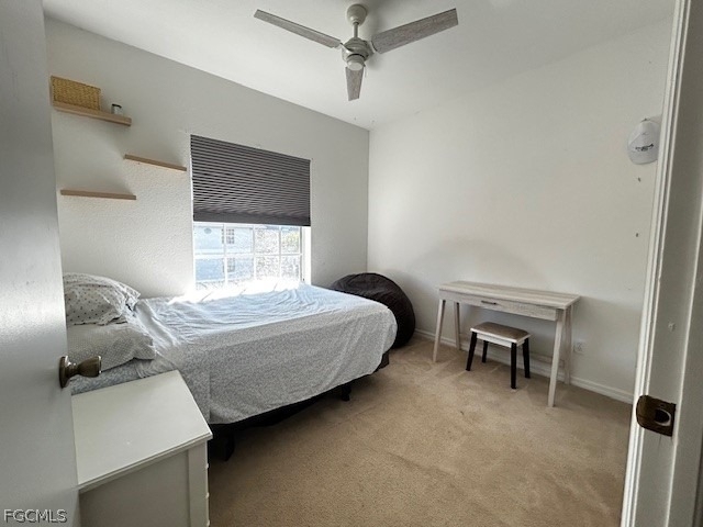 8313 Bernwood Cove Loop - Photo 8