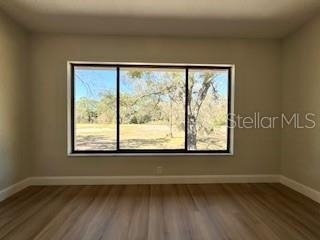 3505 Tarpon Woods Boulevard - Photo 8
