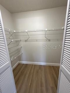 3505 Tarpon Woods Boulevard - Photo 18