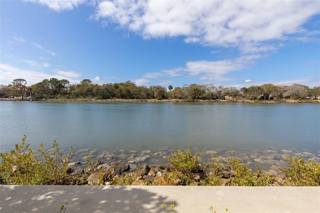 262 Yacht Harbor Drive - Photo 7