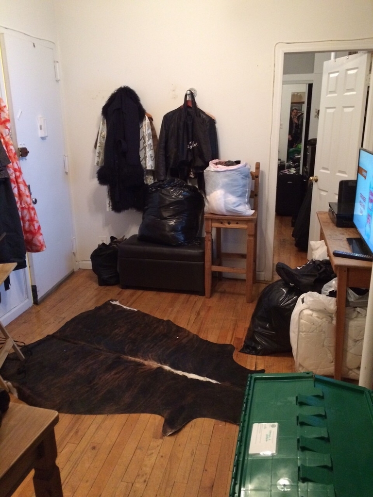 254 East 3rd Street - Photo 2