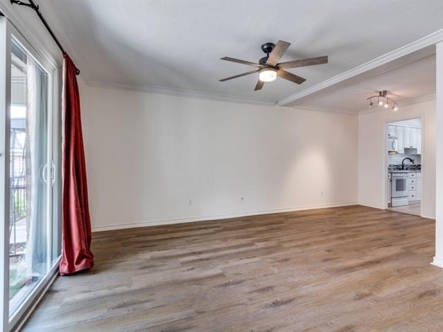 10216 Regal Oaks Drive - Photo 1
