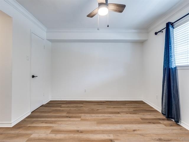 10216 Regal Oaks Drive - Photo 9