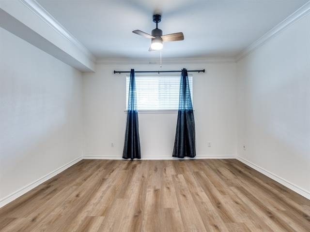 10216 Regal Oaks Drive - Photo 8