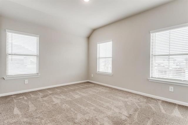 5427 Big Thicket Lane - Photo 15