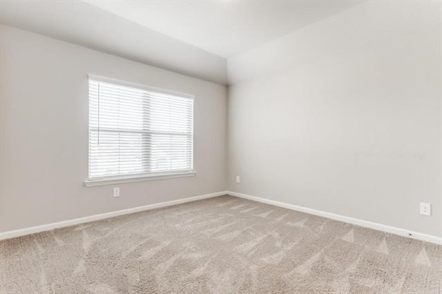 5427 Big Thicket Lane - Photo 18