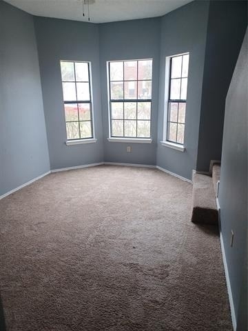 2315 Cuesta Lane - Photo 9