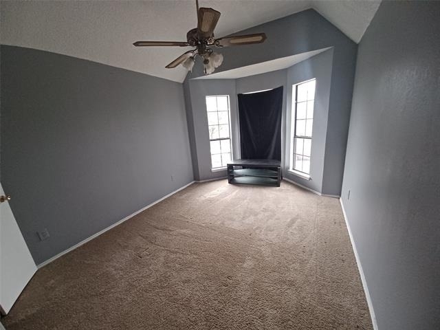 2315 Cuesta Lane - Photo 19