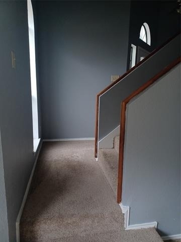 2315 Cuesta Lane - Photo 11