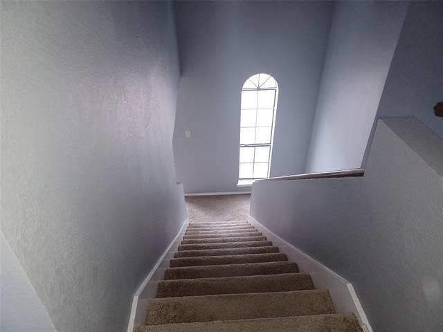 2315 Cuesta Lane - Photo 12