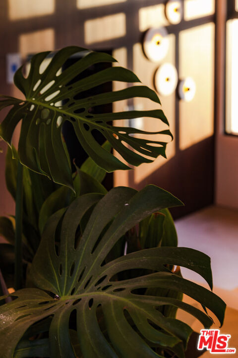 3004 W Sunset Boulevard - Photo 15