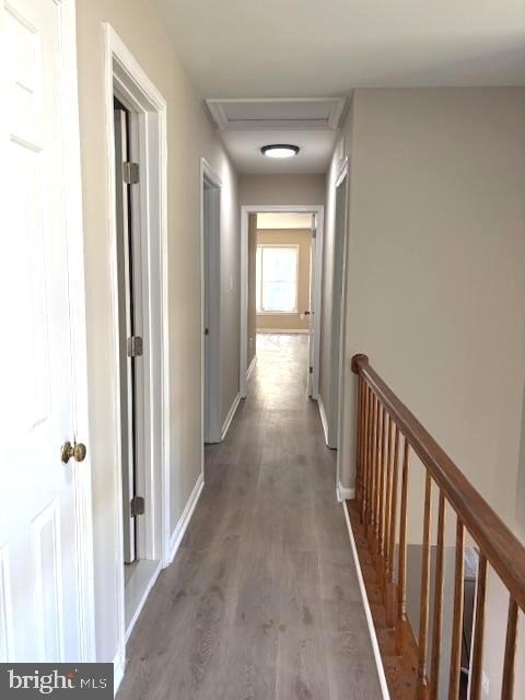 1018 Willowleaf Way - Photo 20