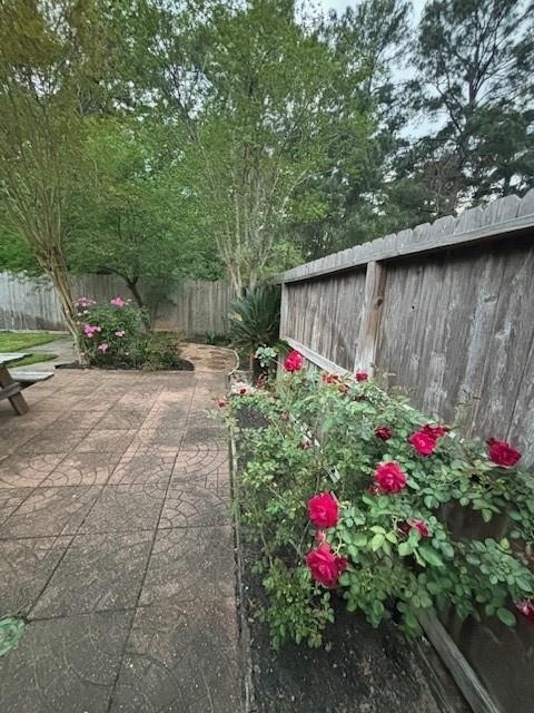 20715 Louetta Oak Drive - Photo 4